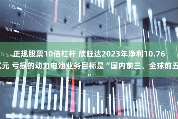 正规股票10倍杠杆 欣旺达2023年净利10.76亿元 亏损的动力电池业务目标是“国内前三、全球前五”