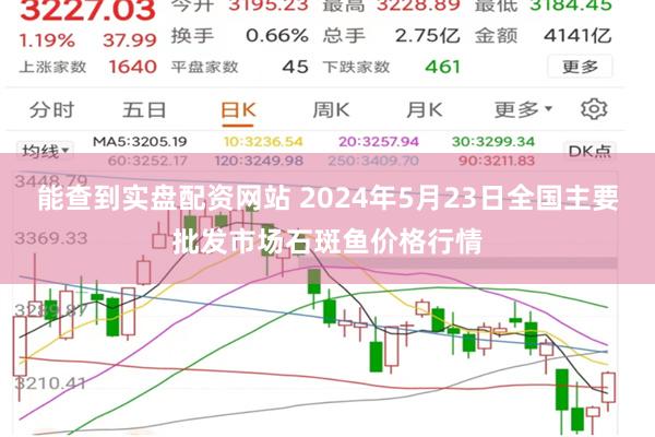 能查到实盘配资网站 2024年5月23日全国主要批发市场石斑鱼价格行情