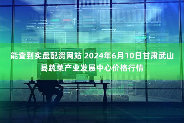 能查到实盘配资网站 2024年6月10日甘肃武山县蔬菜产业发展中心价格行情