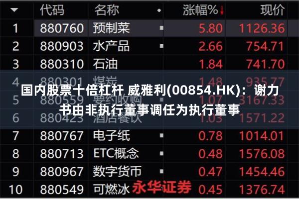 国内股票十倍杠杆 威雅利(00854.HK)：谢力书由非执行董事调任为执行董事