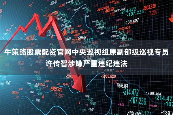 牛策略股票配资官网中央巡视组原副部级巡视专员许传智涉嫌严重违