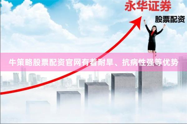 牛策略股票配资官网有着耐旱、抗病性强等优势