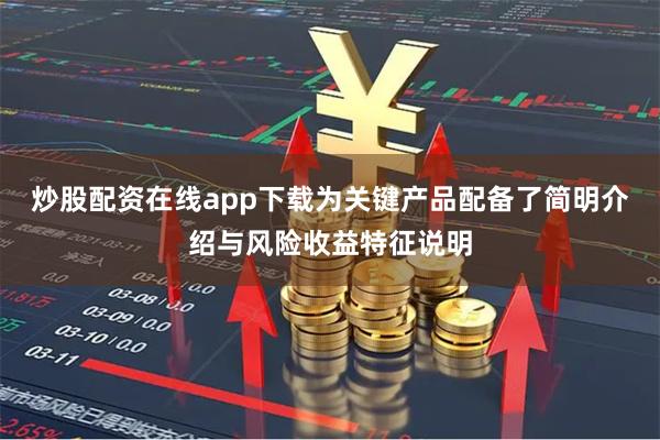 炒股配资在线app下载为关键产品配备了简明介绍与风险收益特征说明